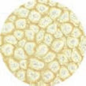 Fantasy Prisme Efekt Boyası 20 Eggshell White