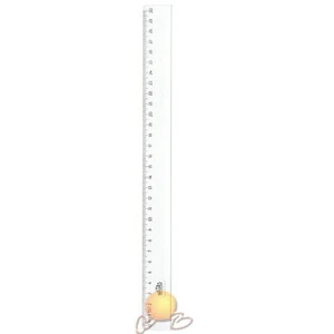 Cetvel Öğrenci Ekonomik 30 Cm 00131