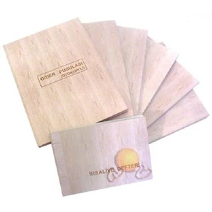 Tediye Makbuzu  ( Otokopi'li )