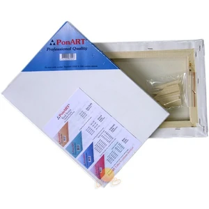 Professional 40X60 Tuval (ince Profil)