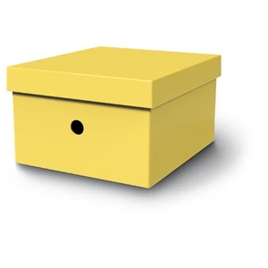 Mas 8224 Raınbow Karton Kutu Küçük Boy.Sarı