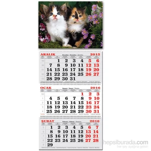 Keskin 3 Aylık Spriralli Denizci Takvim Kediler