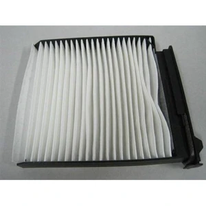 Polen Filtre RENAULT CLIO 3 KASA