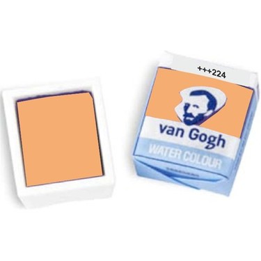 van gogh 224