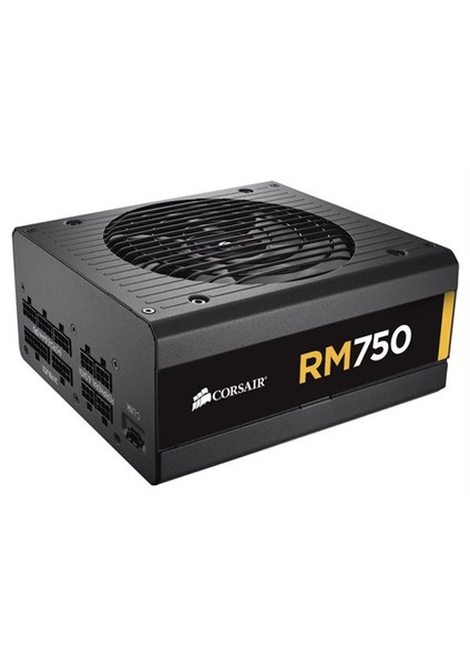 RM750 750W Tam Modüler 80+ Gold Power Supply (CP-9020055-EU)