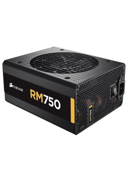 RM750 750W Tam Modüler 80+ Gold Power Supply (CP-9020055-EU)