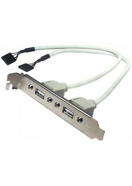 Dıgıtus Ak-300301-002-E Anakarttaki Usb 2.0