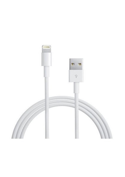 8Pin iPad Mini ve Air Lightning USB Şarj ve Data Kablosu (IOS7 uyumlu) (DK-AC-IPCB100LT)