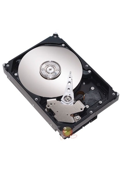 1 TB 7200RPM 32MB Ncq SATA2 Sabit Disk (ST31000528AS)