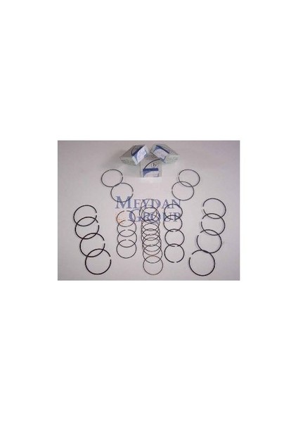 Nıssan Sunny- B11 Cd17- 84/86 Segman Std 1.7Cc