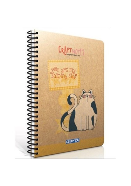 Craft Notes 1776 Spiralli S.K. A4 100 Yaprak Kareli