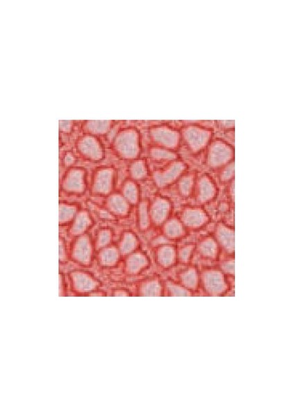 Fantasy Prisme Efekt Boyası 21 Icy Pink