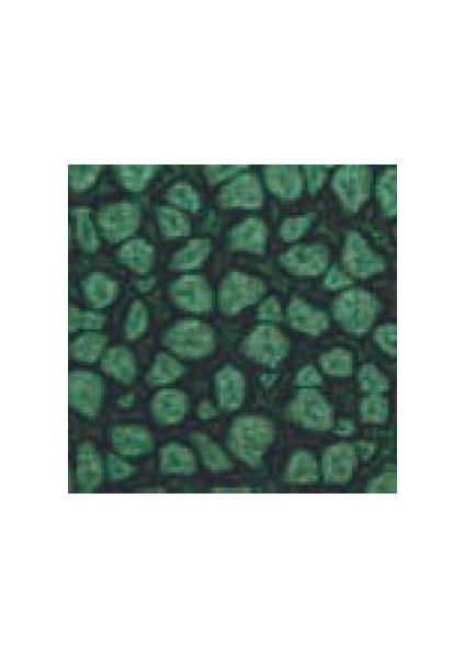 Fantasy Prisme Efekt Boyası 29 Leaf