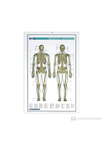 35x50 Kabartma İskelet Sistemi Haritası