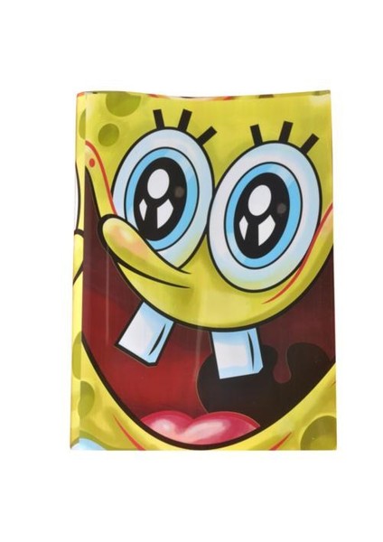 Sponge Bob A5 Hazır Defter Kabı