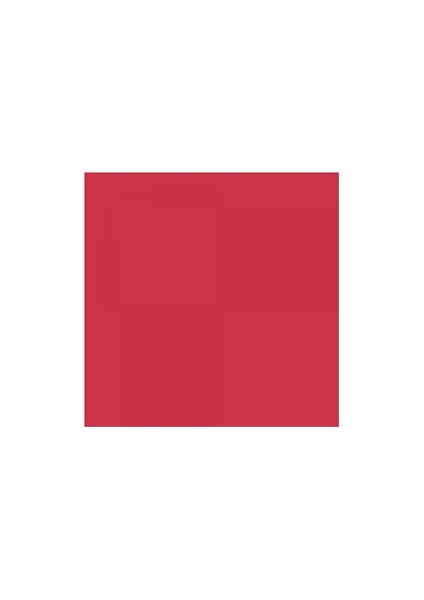 Ceramic Seramik Boyası 24 Cherry Red fiyatları