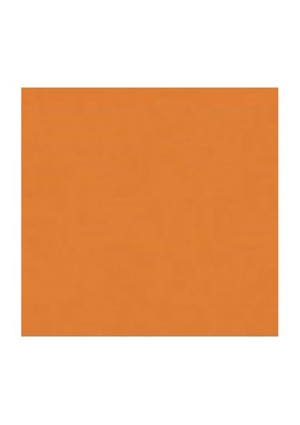 167688 Pitt Artist Pen Bıg Brush Sanguıne