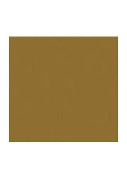 167680 Pitt Artist Pen Bıg Brush Raw Umber