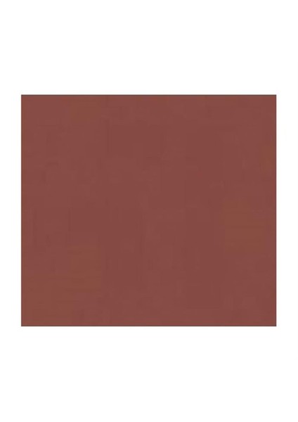 167669 Pitt Artist Pen Bıg Brush Caput