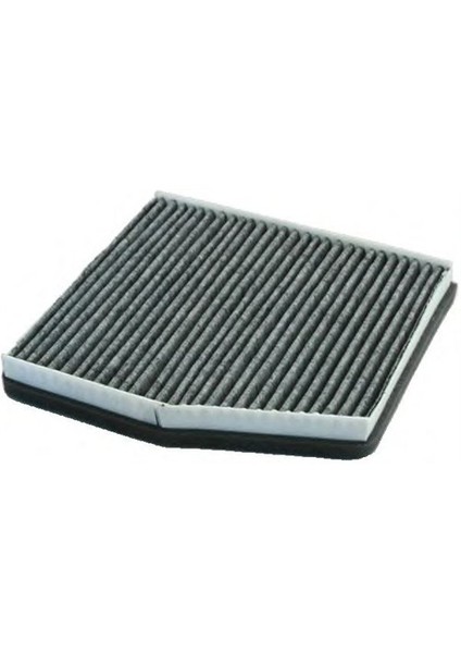 Sca543 Polen Fıltresı (Karbonlu) Punto