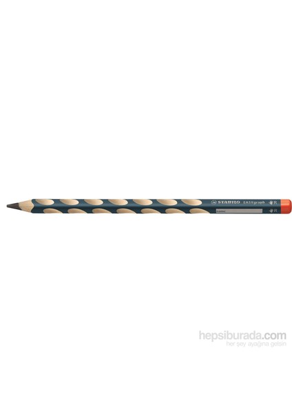 Easygraph Sağ 12Li
