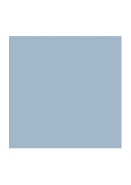 Bg1 Blue Grey