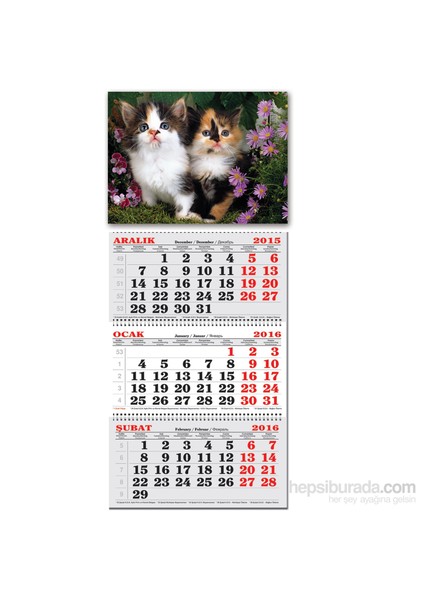 Keskin 3 Aylık Spriralli Denizci Takvim Kediler
