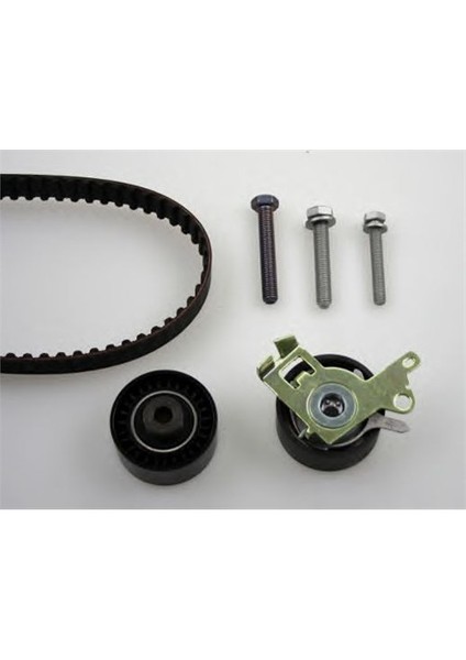 0831.T4 Eksantrık Gergı Kıtı P406-P206-P407-307-607 2.0 Ew10j4
