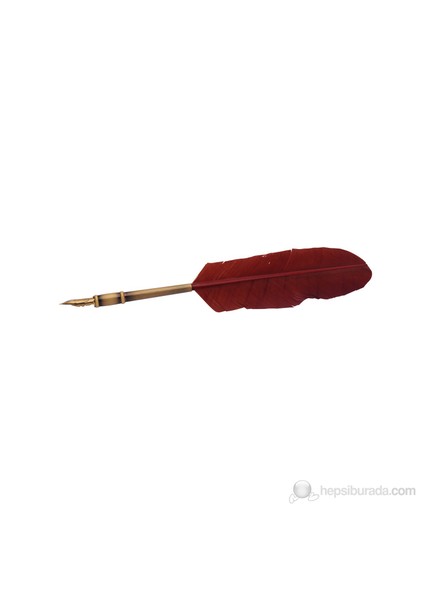 Calligraphy Pen Set Kırmızı Renkli Kuş Tüyü Set Cs-0210 modelleri