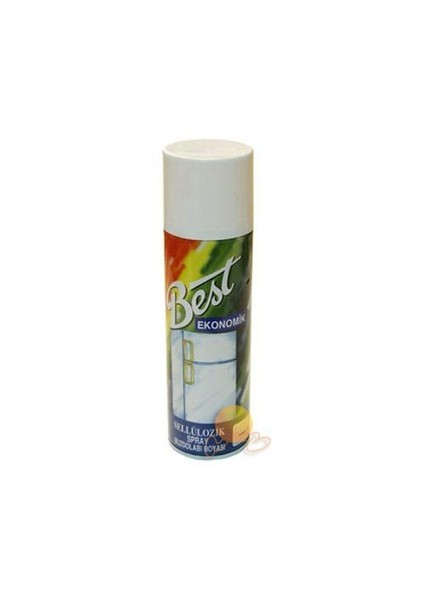 Selülözik Beyaz Sprey Boya 095010