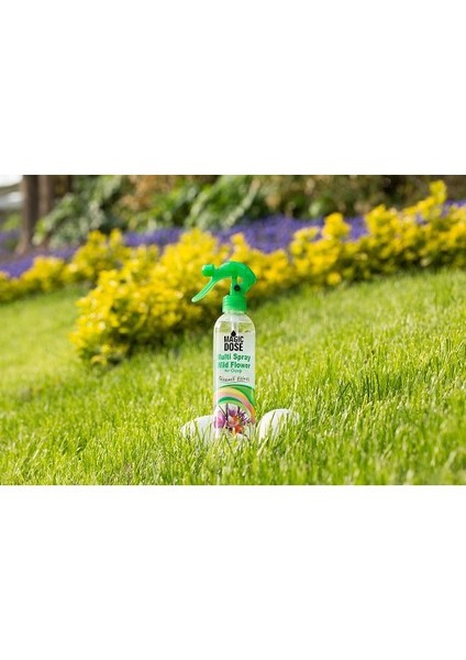 Multi Sprey Oda ; Araba Kokusu "Wild Flower" 350ML- Kır Çiçeği