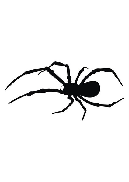 "Trantula " Sticker 13x7cm