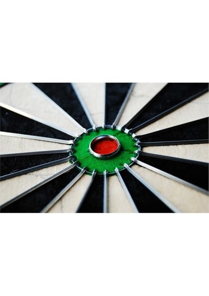 Diamond Dart Board