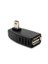 Usb Af To Mını 5P Male Right 90° Adapter 1