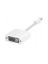 iAdapt Mini DisplayPort - DVI Dönüştürücü 1