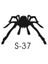 Sticker Master Tarantula Sticker Oto Motor Pc Etiket 1