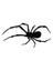 "Trantula " Sticker 13x7cm 1