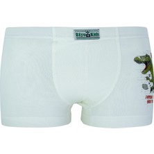 Biyokids Erkek Çocuk Boxer 5'li Paket Karışık Renk Baskılı Boxer BYO2563
