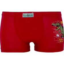 Biyokids Erkek Çocuk Boxer 5'li Paket Karışık Renk Baskılı Boxer BYO2563