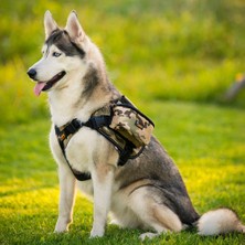 Tcherchi Köpek Sırt Çantası (Yurt Dışından)