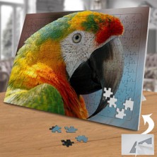 Asilmeydan Renkli Afrika Papağanı 240 Parça Puzzle YAPBOZ-75463