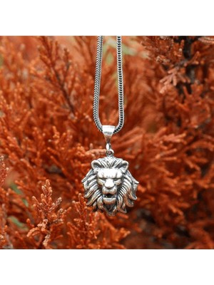 Takılingo Üç Boyutlu Aslan Kafası Gümüş Erkek Kolye