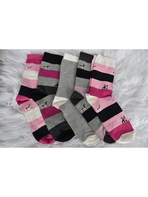 Airsocks 5 Çift Kadın Köpek Desenli Renkli Soket Çorap