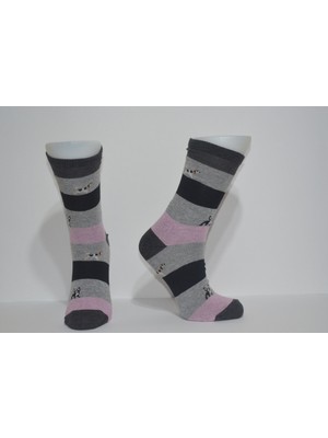 Airsocks 5 Çift Kadın Köpek Desenli Renkli Soket Çorap