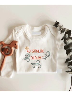 Limon Kırk Günlük Oldum Rüzgarlı Uzun Kol Çıtçıtlı Organik Bebek Body