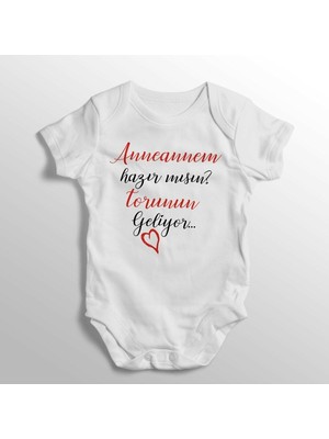 Limon Anneannem Hazır Mısın Torunun Geliyor Yazılı Baskılı Bebek Zıbını