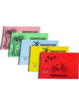 Saray 3 Adet Plastik Kapak Spiralli Resim Defteri 25 x 35 cm 25 Yaprak