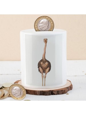 Asilmeydan Sevimli Deve Kuşu Birikim KUMBARASI-53876-86245