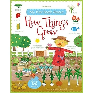 My First Book About How Things Grow - Felicity Brooks