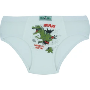 Erkek Çocuk Külot 5'li Paket Karışık Renk Baskılı Külot BYO2559